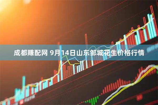 成都赚配网 9月14日山东邹城花生价格行情
