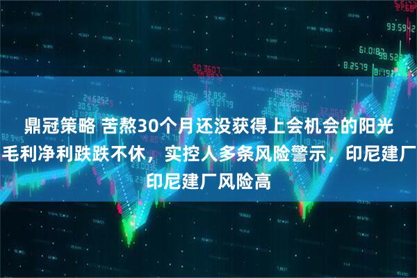鼎冠策略 苦熬30个月还没获得上会机会的阳光焦化：毛利净利跌跌不休，实控人多条风险警示，印尼建厂风险高