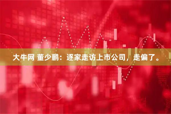 大牛网 董少鹏：逐家走访上市公司，走偏了。