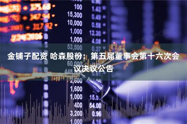 金铺子配资 哈森股份：第五届董事会第十六次会议决议公告