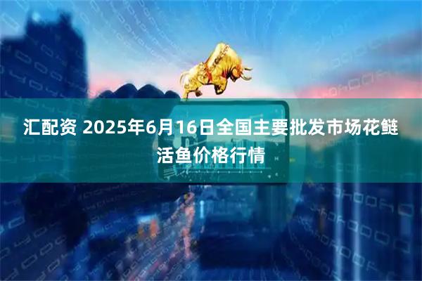 汇配资 2025年6月16日全国主要批发市场花鲢活鱼价格行情