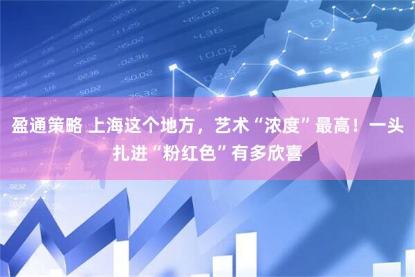 盈通策略 上海这个地方，艺术“浓度”最高！一头扎进“粉红色”有多欣喜