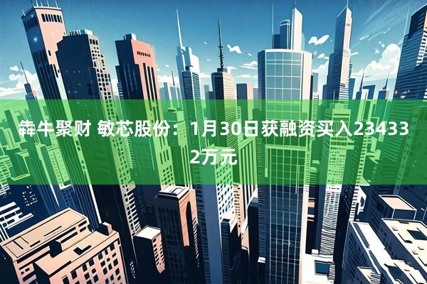 犇牛聚财 敏芯股份：1月30日获融资买入234332万元